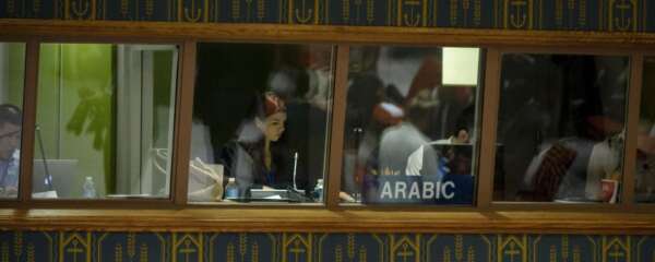 The role of language professionals